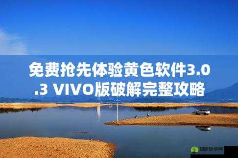 3.0.3 免费 vivo 版破解大全集合